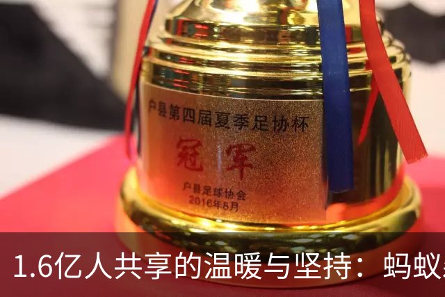 1.6亿人共享的温暖与坚持：蚂蚁森林的故事